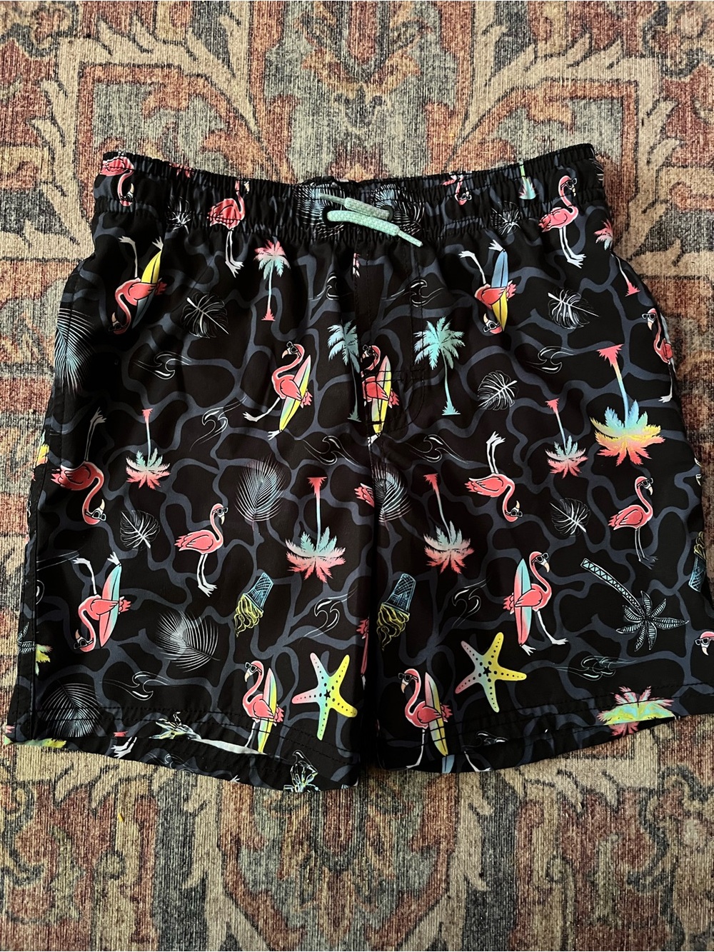 Boys Wonder Nation Swim Trunks, Size 8 Flamingo, Ice Cream, Surfing